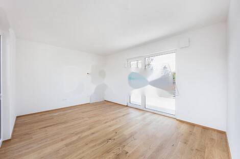 Дом в Ружиной Долине.: 8