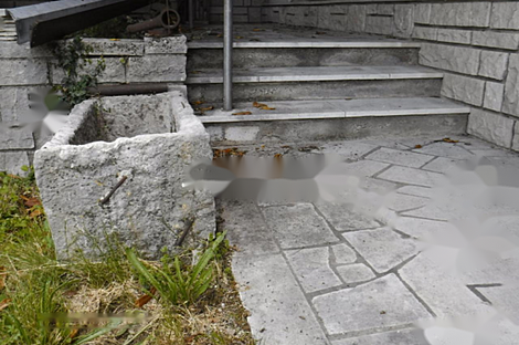 Камен, дом: 8