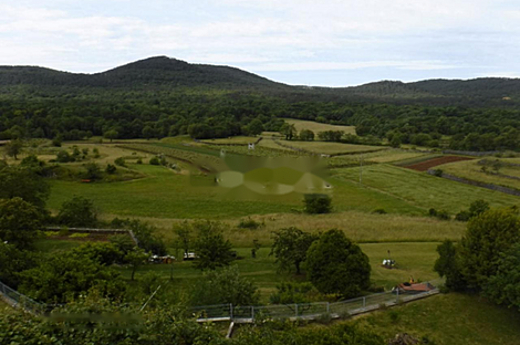 Камен, дом: 10