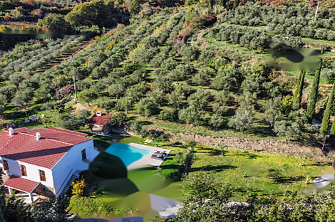 Дом в районе Семедела, город Копер: 1