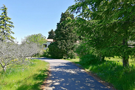 Дом, Изола: 5