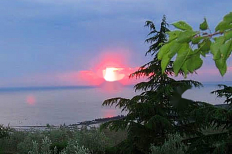 Дом, Изола: 8