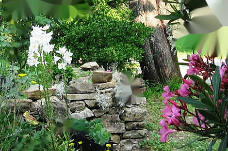 Дом, Изола: 9