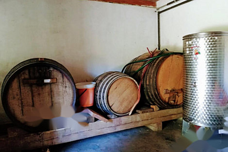 Дом, Изола: 13