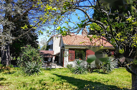 Дом, Изола: 20