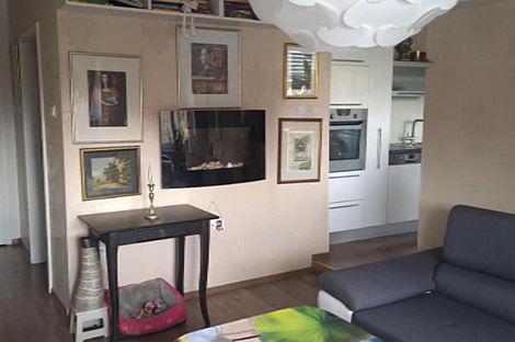 Четырехкомнатная квартира на Штепаньско Населе: 4