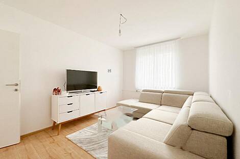 Трёхкомнатная квартира на Шишке: 11