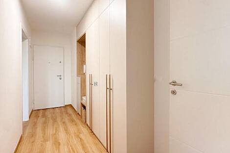 Трёхкомнатная квартира на Шишке: 14