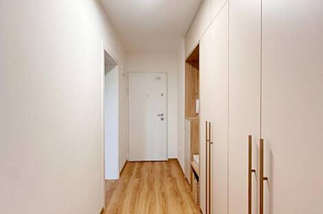 Трёхкомнатная квартира на Шишке: 17