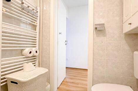 Трёхкомнатная квартира на Шишке: 25