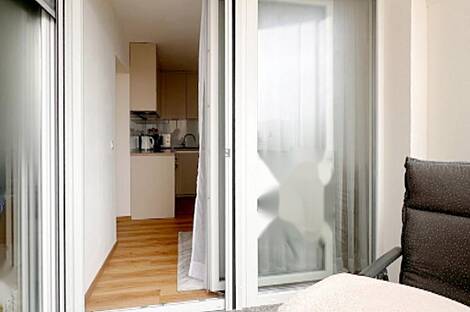 Трёхкомнатная квартира на Шишке: 27