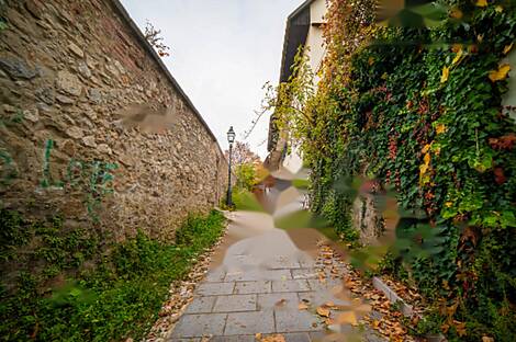 Четырёхкомнатная квартира в центре Любляны: 12