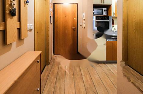 3-комнатная квартира в Новой Любляне.: 2