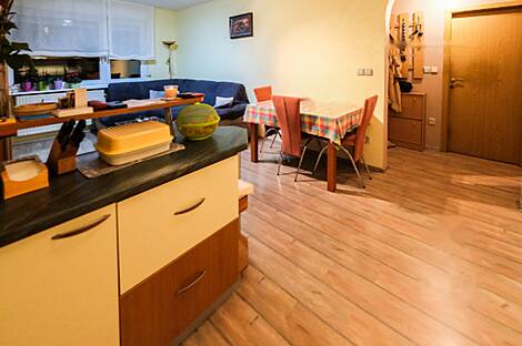 3-комнатная квартира в Новой Любляне.: 5