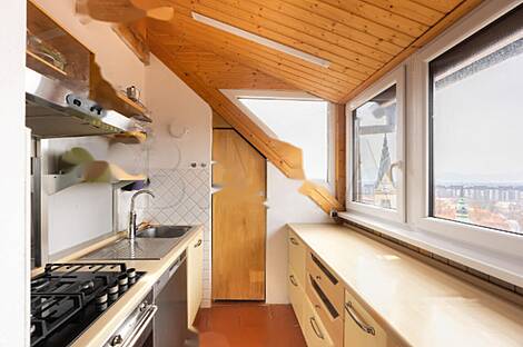 Апартаменты в центральной части Любляны: 5