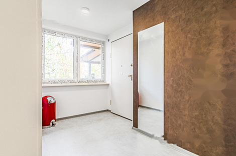 3,5-комнатная квартира в центре Любляны: 10