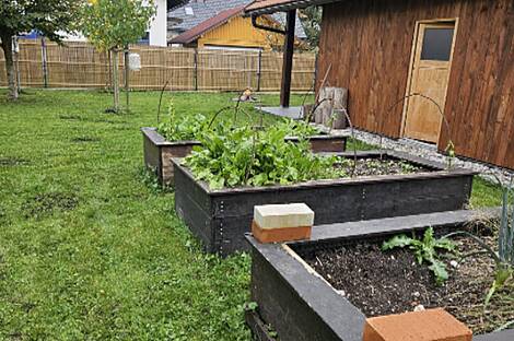 Жилище возле Центра Любляны: 2