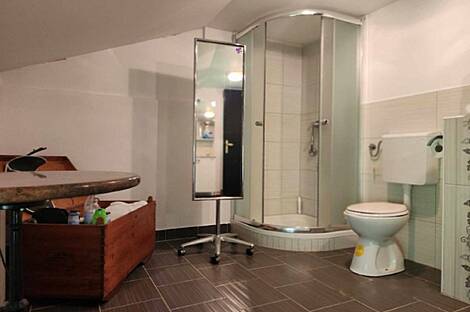 Дом, ферма Виден у Птуя: 9