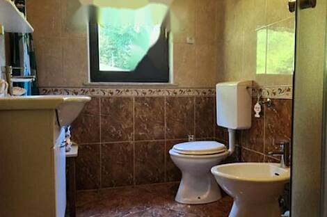 Дом, ферма Виден у Птуя: 10