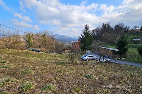 Имение, хозяйство Римских Топлице.: 10