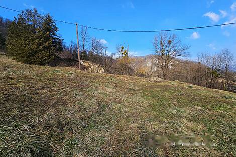 Имение, хозяйство Римских Топлице.: 13