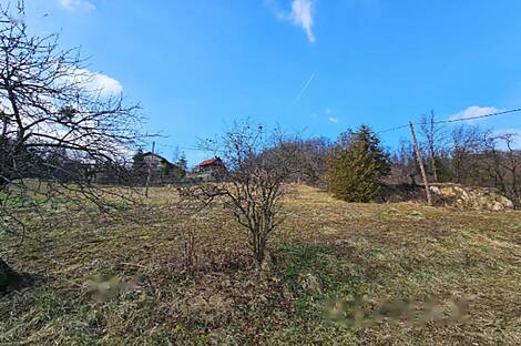 Имение, хозяйство Римских Топлице.: 15