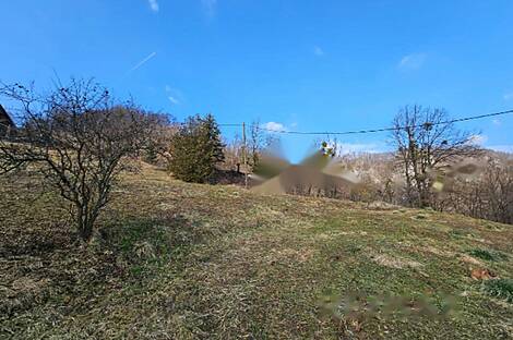 Имение, хозяйство Римских Топлице.: 16