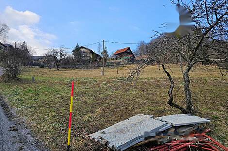 Имение, хозяйство Римских Топлице.: 18