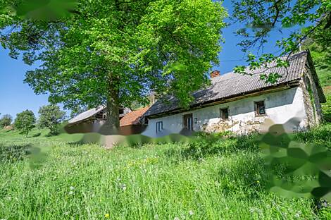 Дом, усадьба Святого Георгия: 3