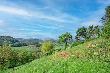Дом, усадьба Святого Георгия: 10