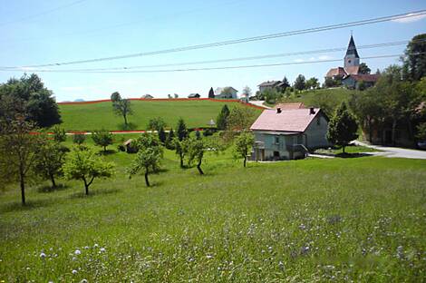 Усадьба, хозяйство Тополы, Текачево.: 4