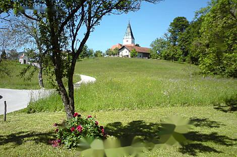 Усадьба, хозяйство Тополы, Текачево.: 5