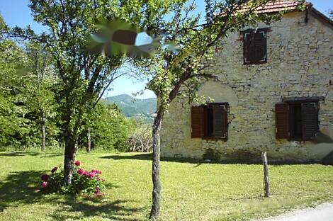 Усадьба, хозяйство Тополы, Текачево.: 9