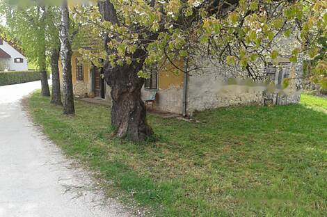 Усадьба, хозяйство Тополы, Текачево.: 10