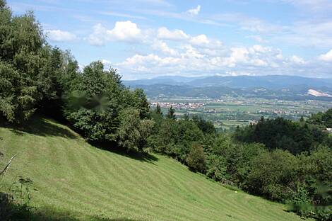 Дом и фермерское хозяйство Преболд: 1