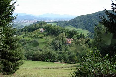 Дом и фермерское хозяйство Преболд: 3