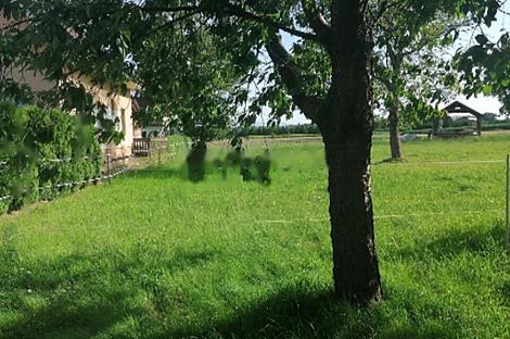 Дом в Средишче об Драви: 2