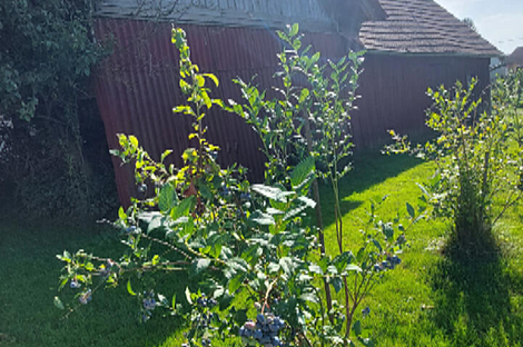 Центральный дом в Вержее: 20