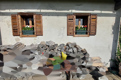 Центральный дом в Вержее: 26