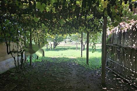 Дом в Неделице: 3