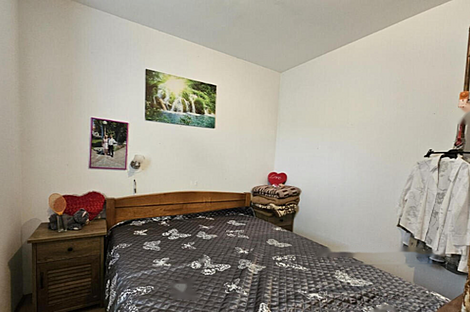 Дом в деревне Велике Мрашево: 5