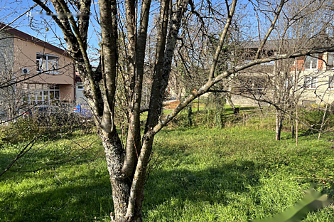 Дом, Виница: 15