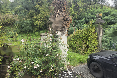 Дом, Фрам: 12