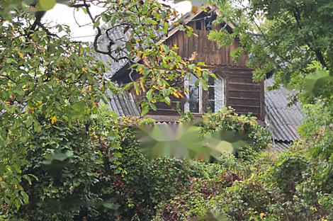 Дом, Фрам: 13