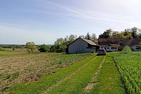 Гибина, дом: 19