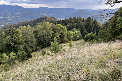 Жилище на Святой Планине 33: 6