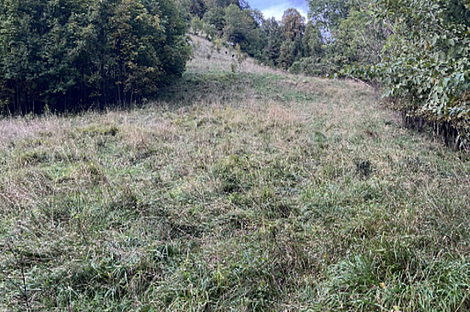 Жилище на Святой Планине 33: 7