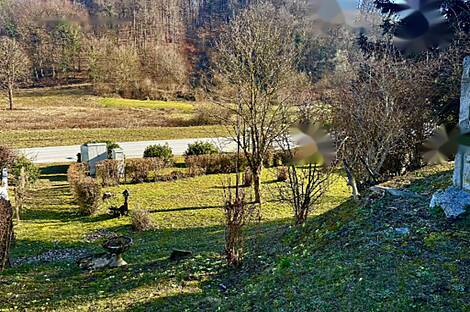 Дом, пишется: 7