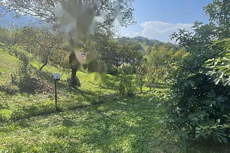 Дом в Забуковице: 8