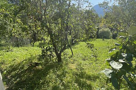 Дом в Забуковице: 9